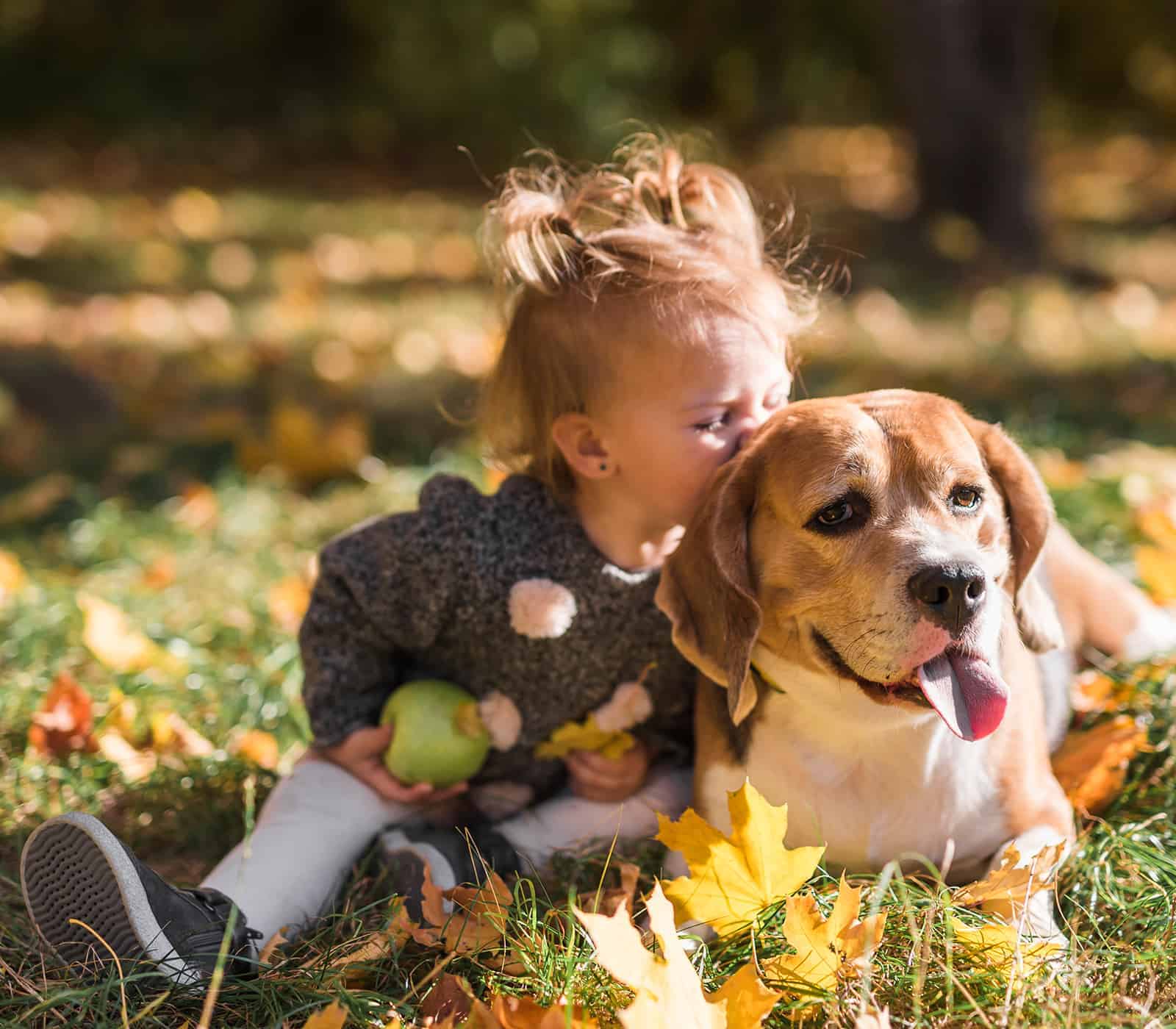 10 sugestões de raças de cachorros para crianças